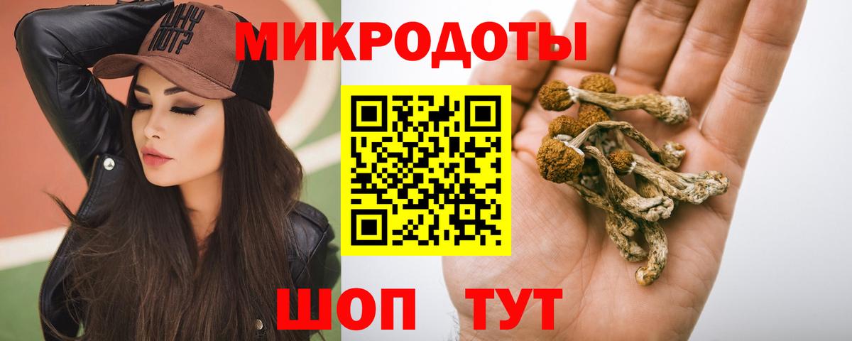 Галлюциногенные грибы Cubensis Тосно